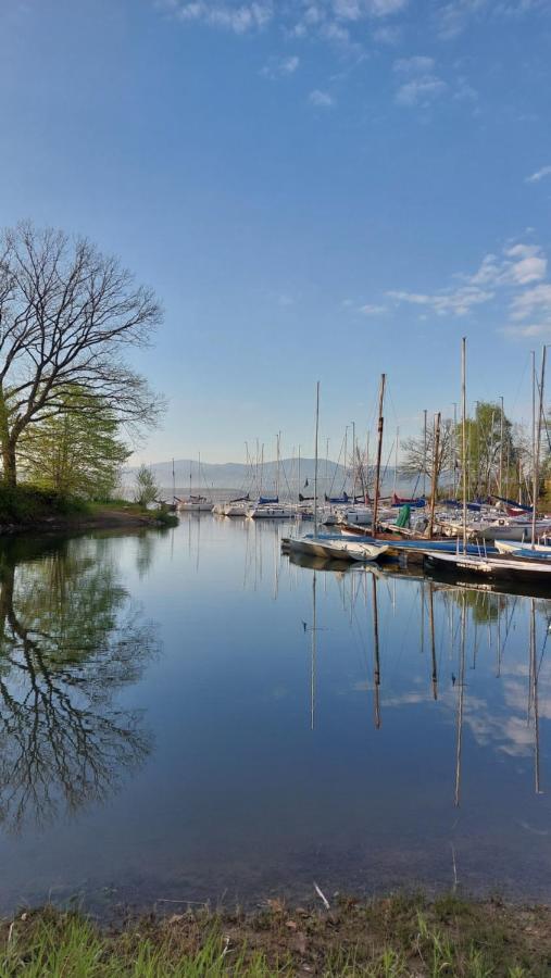 Laguna24 Jezioro Zywieckie Klimatyzowany Apartament 40 M2 Zarzecze  Exterior foto